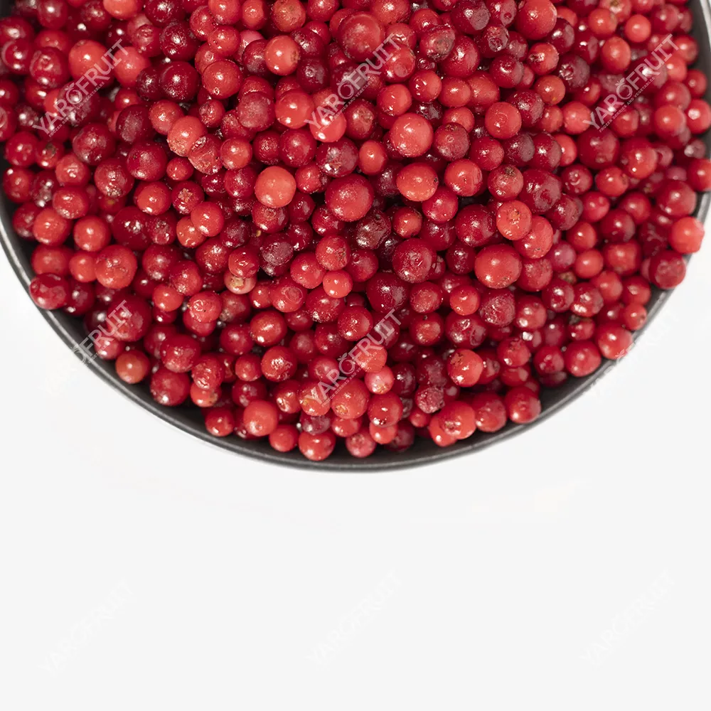 Frozen Lingonberry