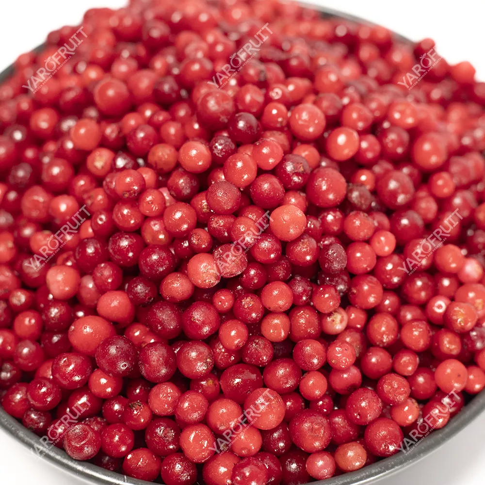 Frozen Lingonberry