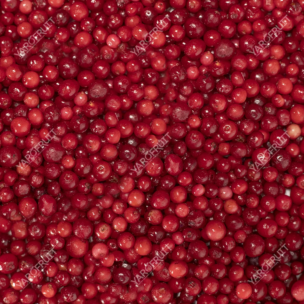 Frozen Lingonberry