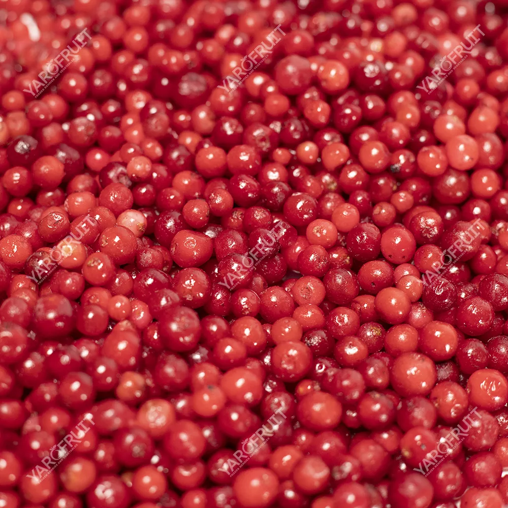 Frozen Lingonberry