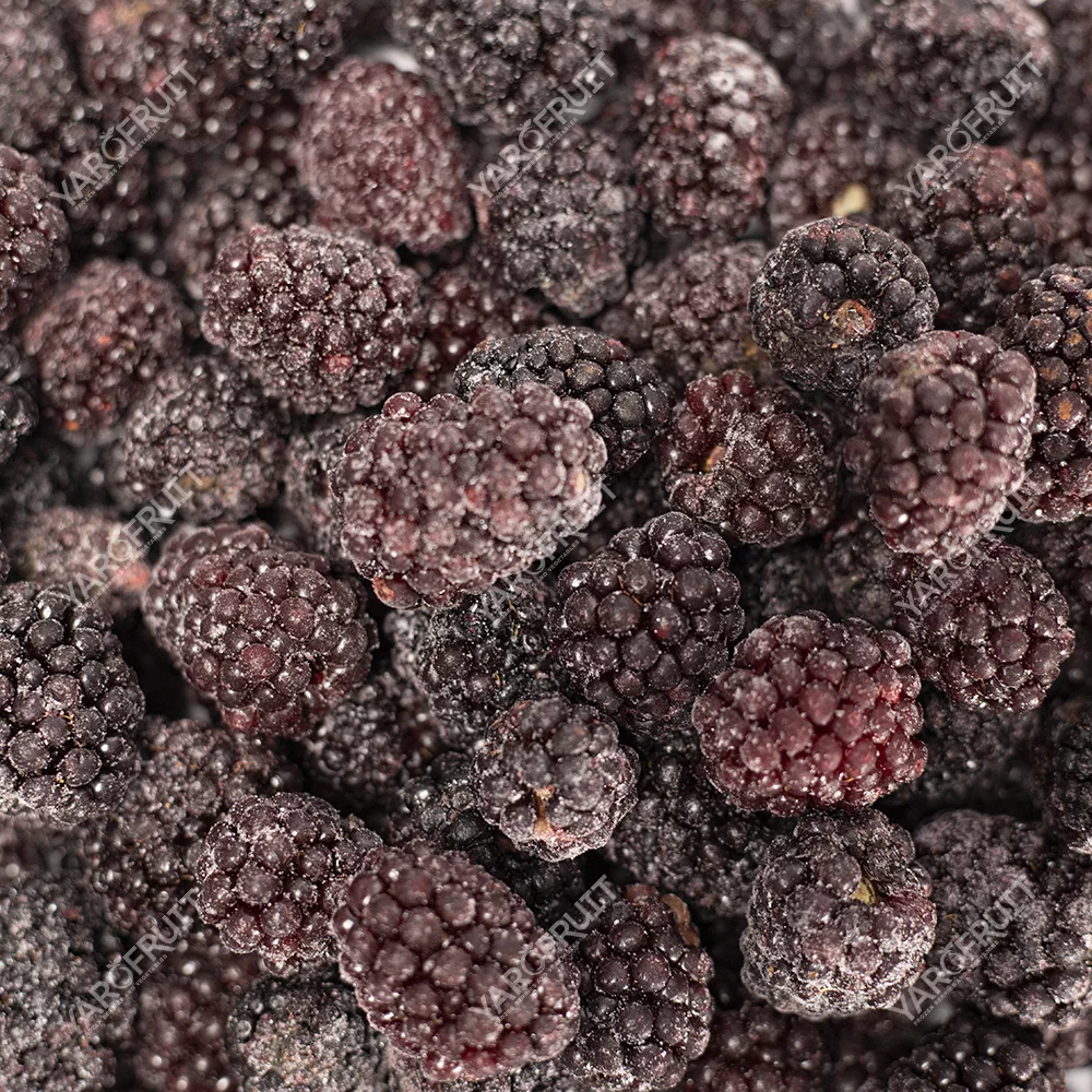 Frozen Cultivated Blackberry