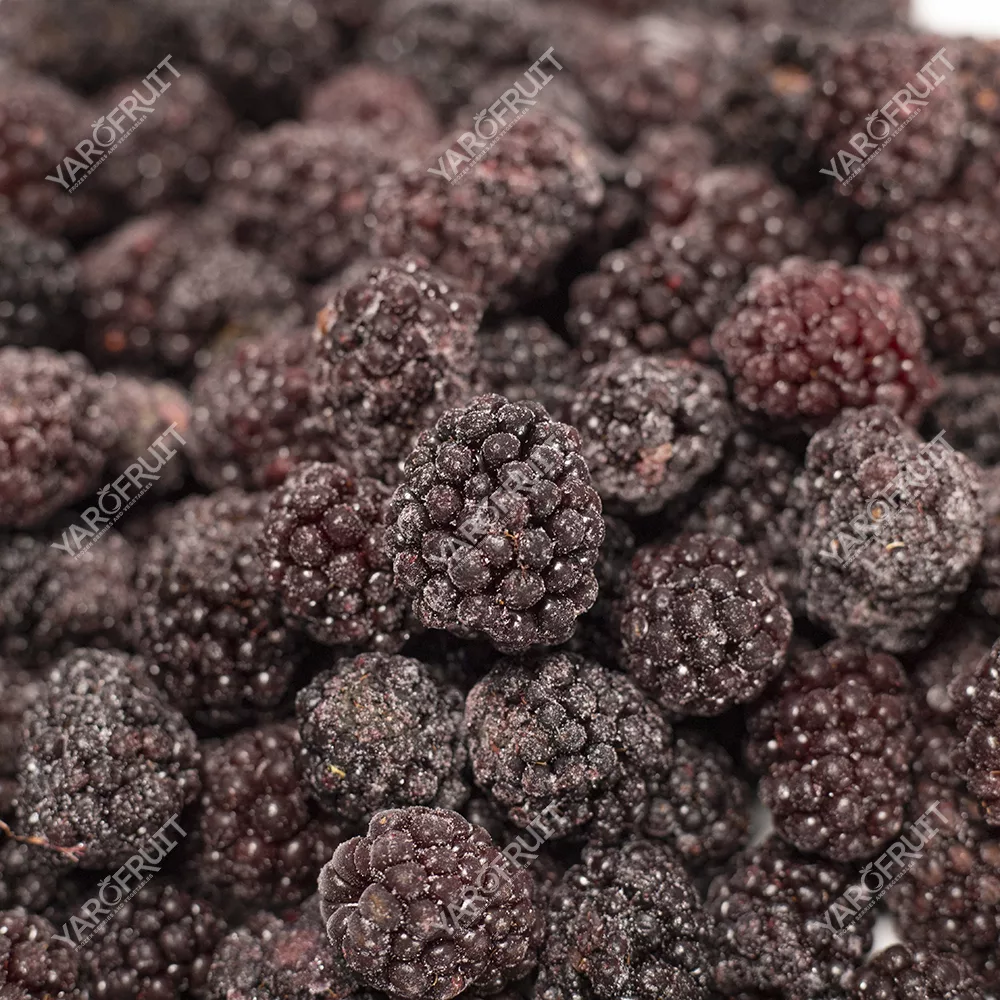 Frozen Cultivated Blackberry