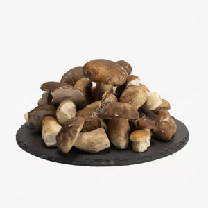 Frozen Mushrooms Boletus