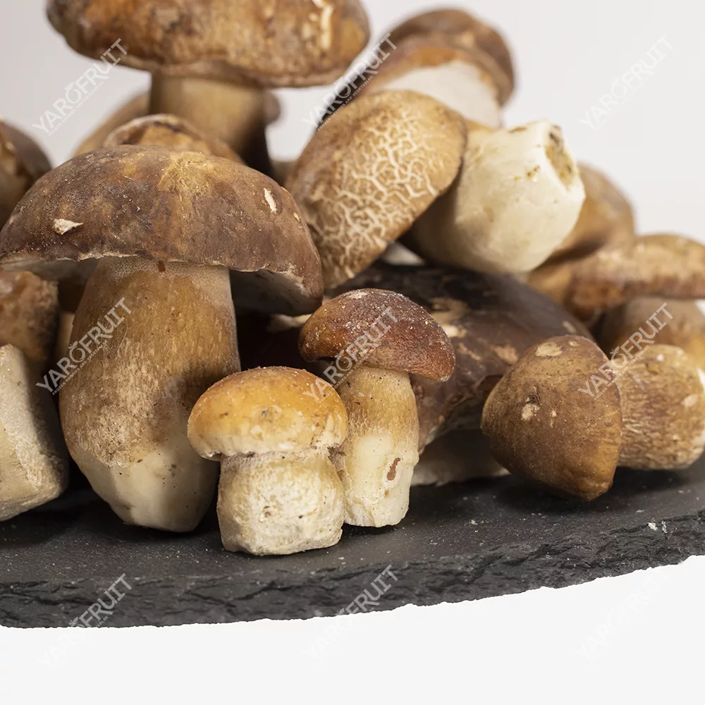 Frozen Mushrooms Boletus