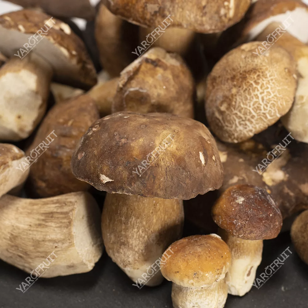 Frozen Mushrooms Boletus