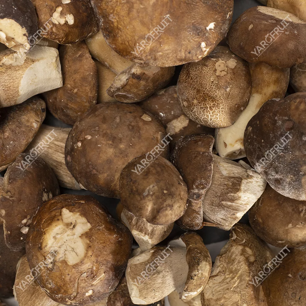 Frozen Mushrooms Boletus