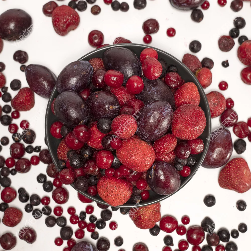 “Compote” mixture Frozen