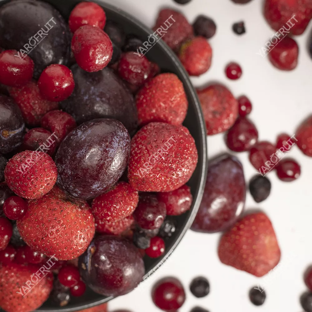 “Compote” mixture Frozen