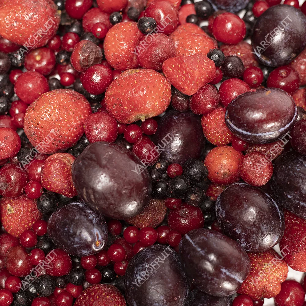 “Compote” mixture Frozen