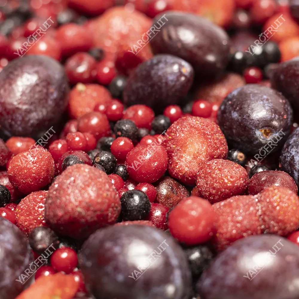 “Compote” mixture Frozen