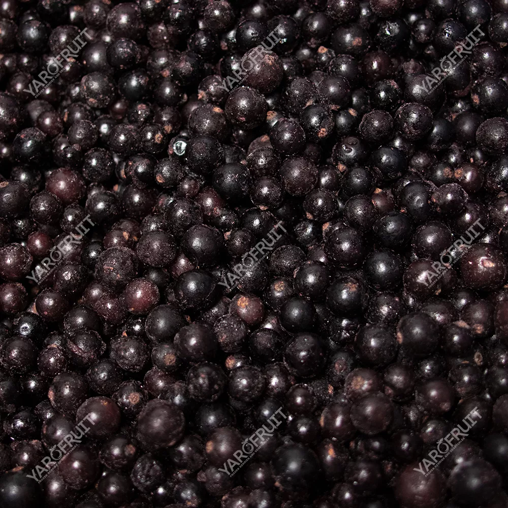 Frozen Black Currant