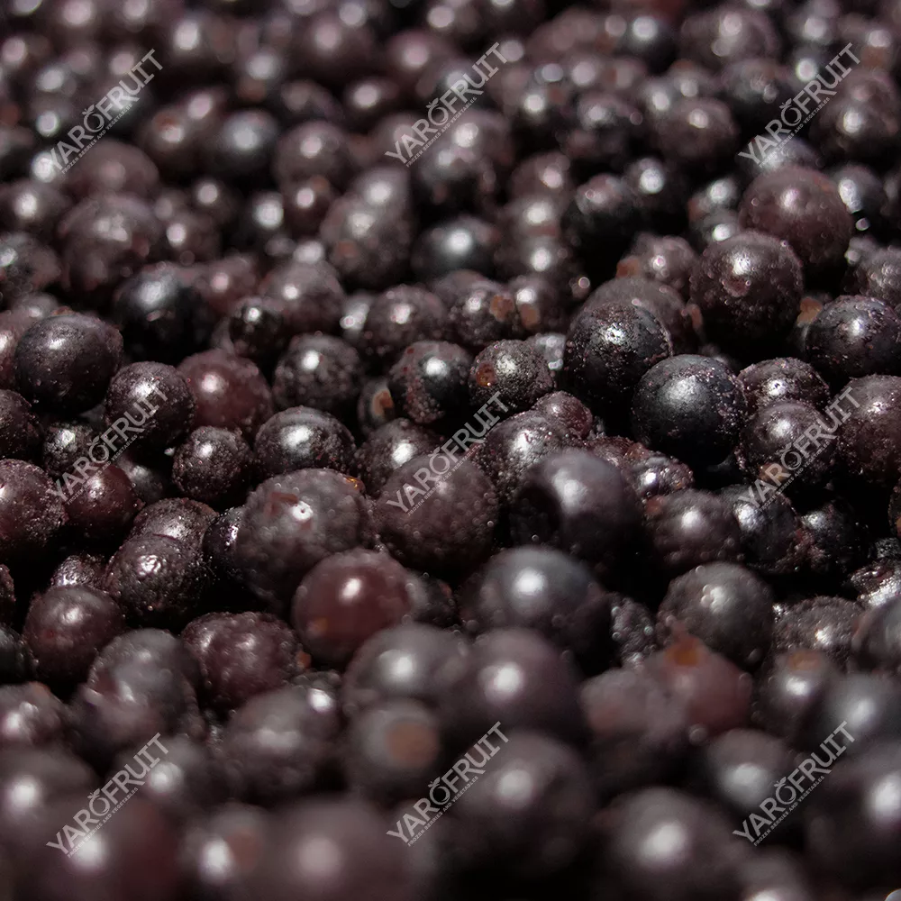 Frozen Black Currant