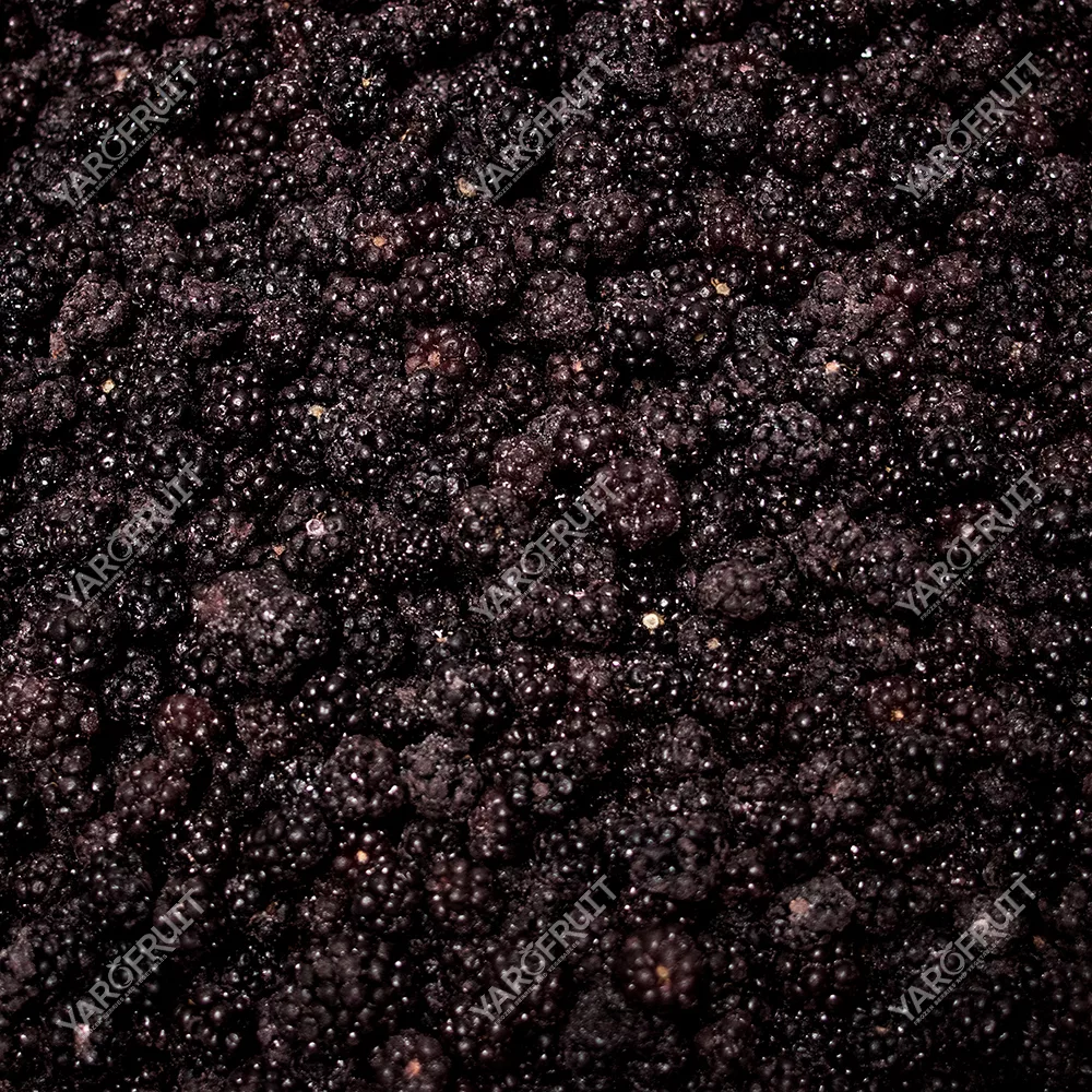 Frozen Wild Blackberry
