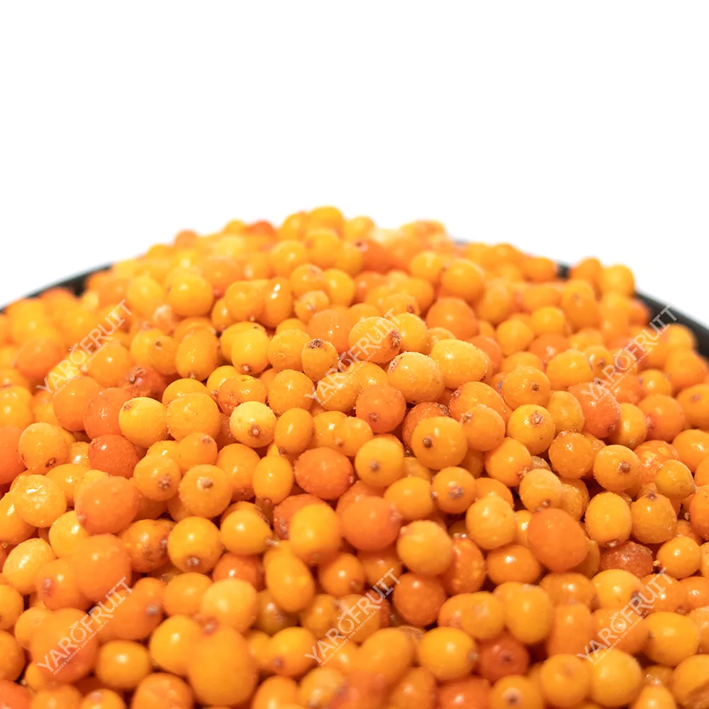 Frozen Sea Buckthorn