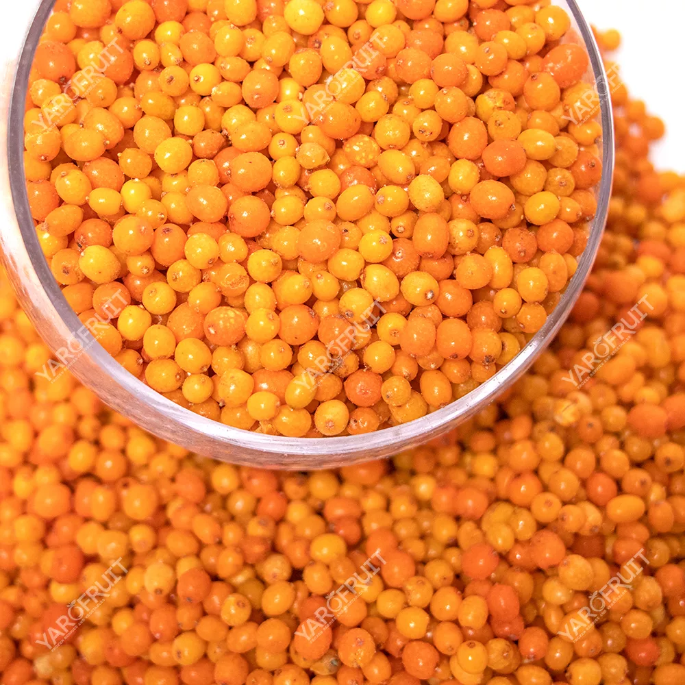 Frozen Sea Buckthorn