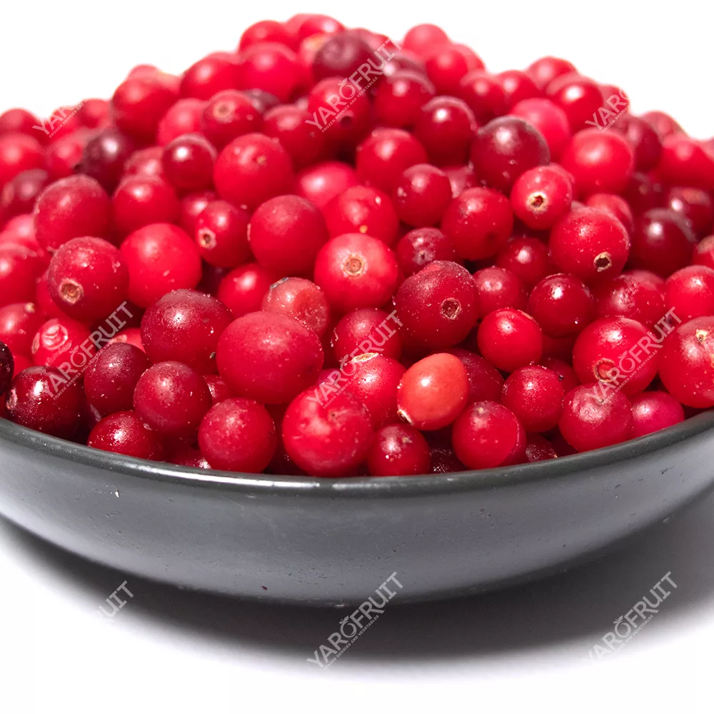 Cranberry Frozen