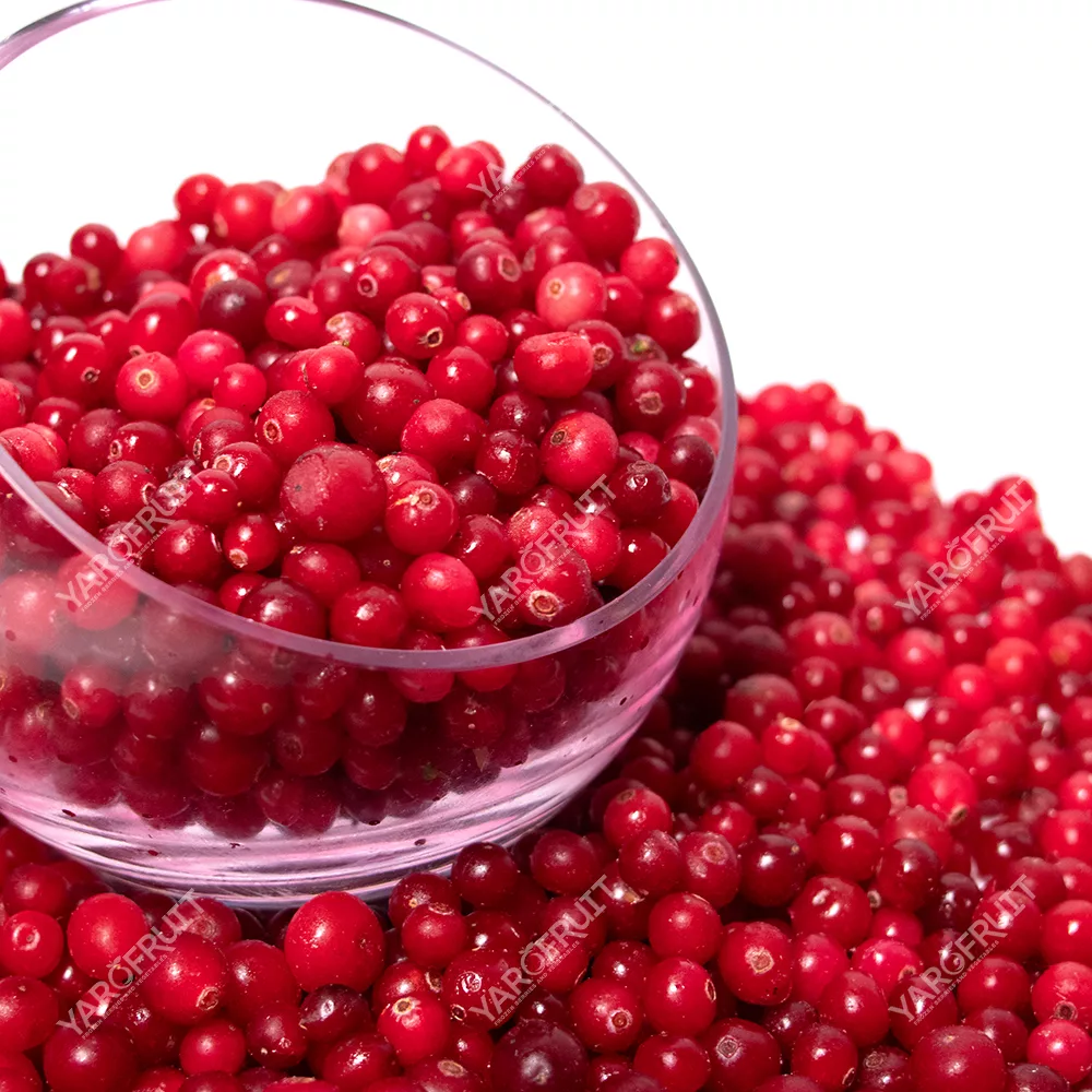 Cranberry Frozen
