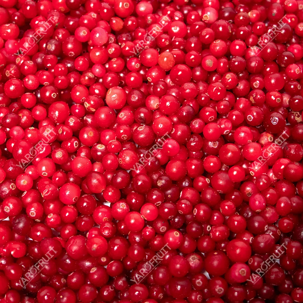 Cranberry Frozen