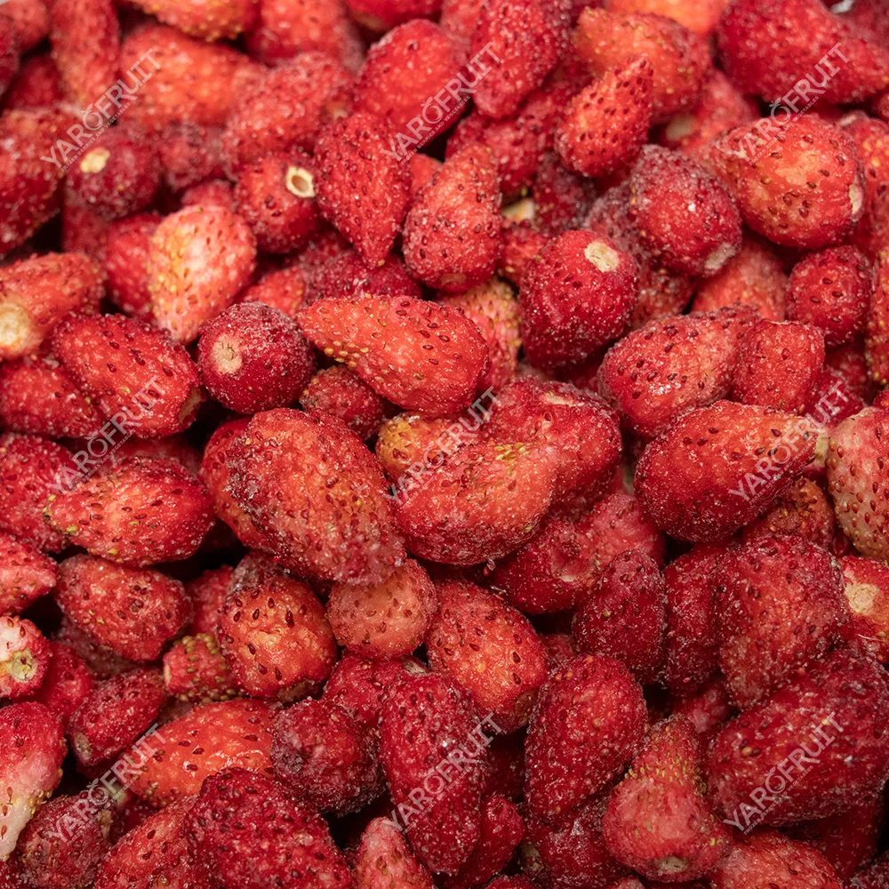 Frozen Fragaria Moschata