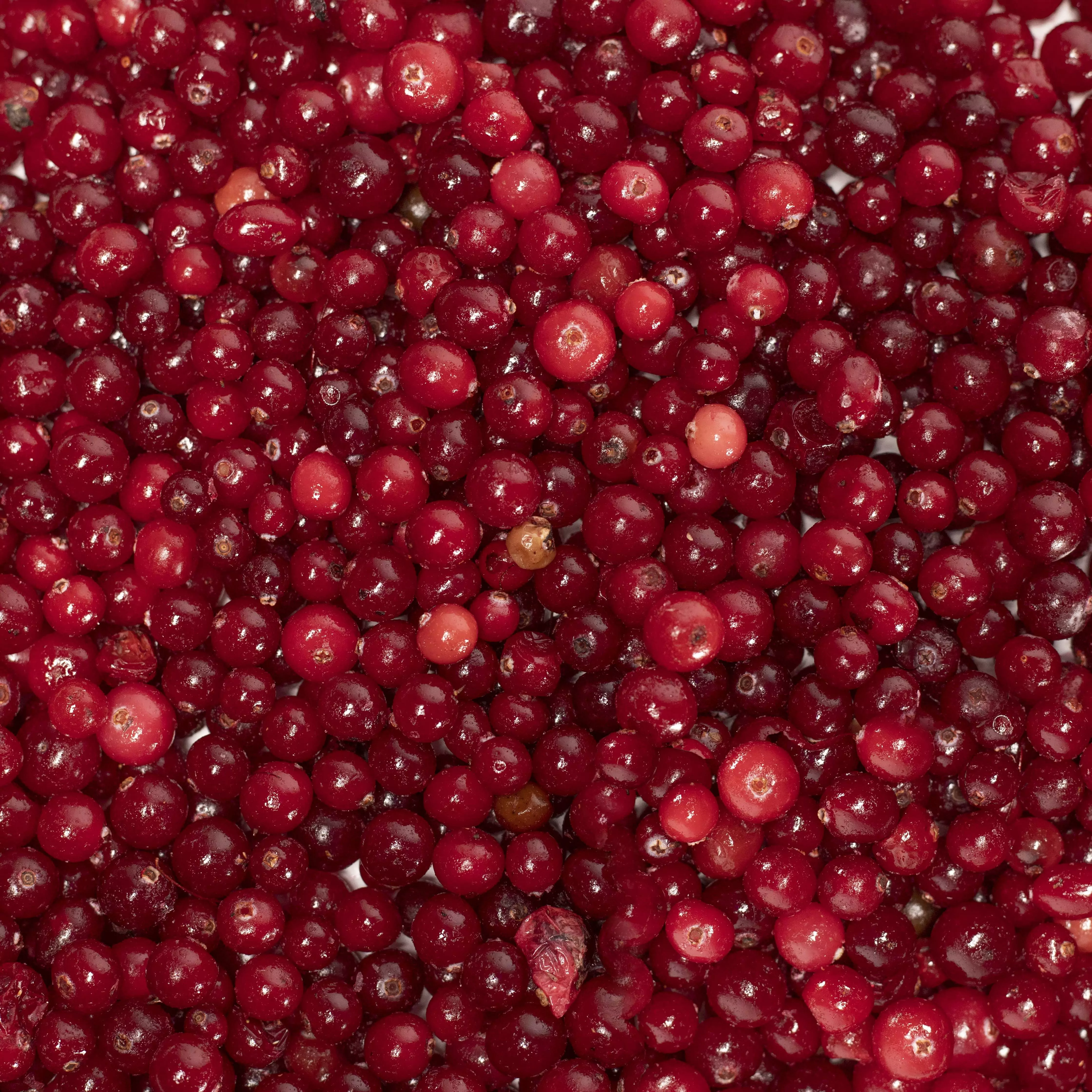 Cranberry Frozen Yarofruit