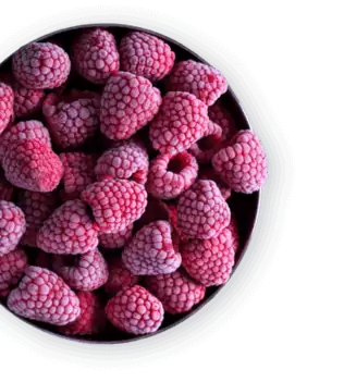 fruit yarofruit
